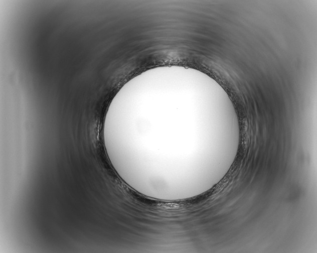 X0000096460230200801241124