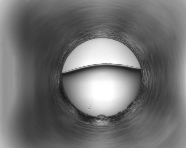 X0000096460232200801241124