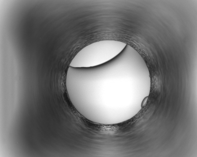 X0000096460234200801241124