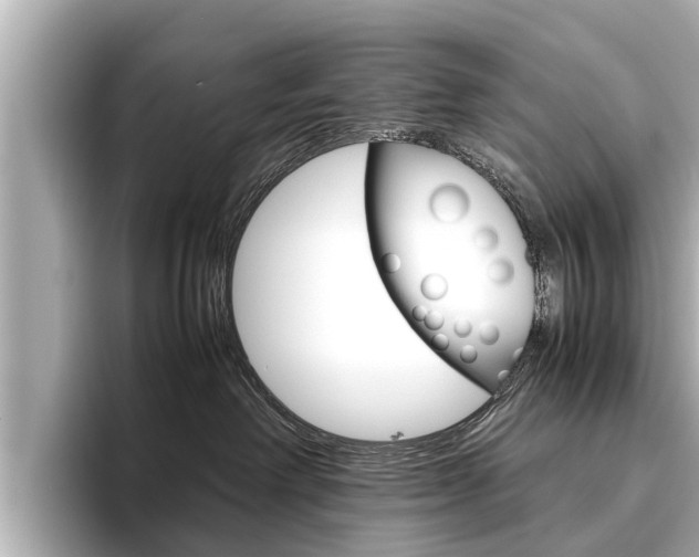 X0000096460238200801241124