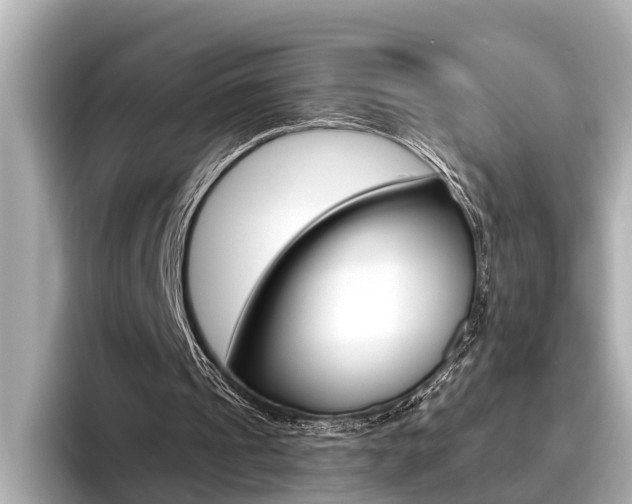 X0000096460241200801241123