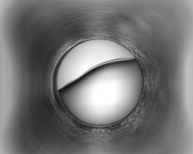 X0000096460242200801241123