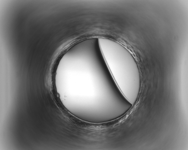 X0000096460245200801241123