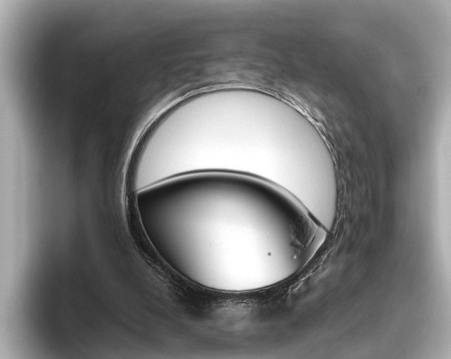 X0000096460248200801241124