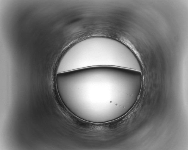 X0000096460249200801241124