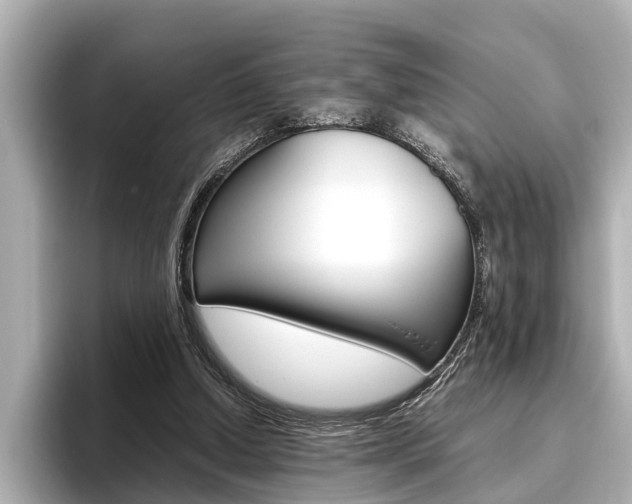 X0000096460250200801241124