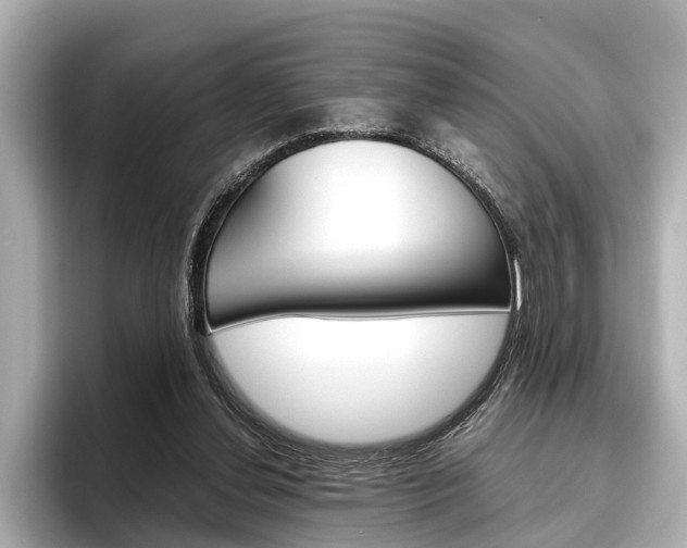 X0000096460252200801241124
