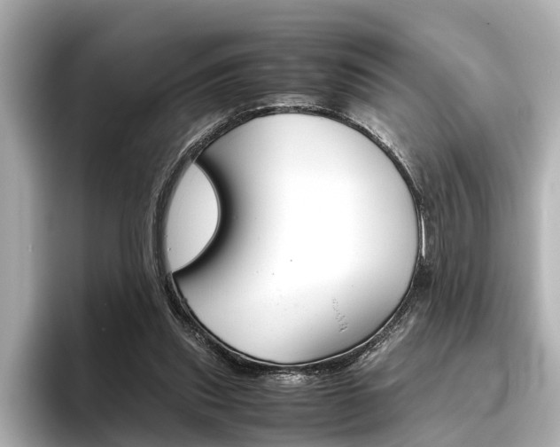 X0000096460253200801241124
