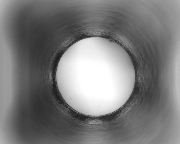 X0000096460258200801241124