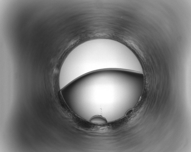 X0000096460260200801241124