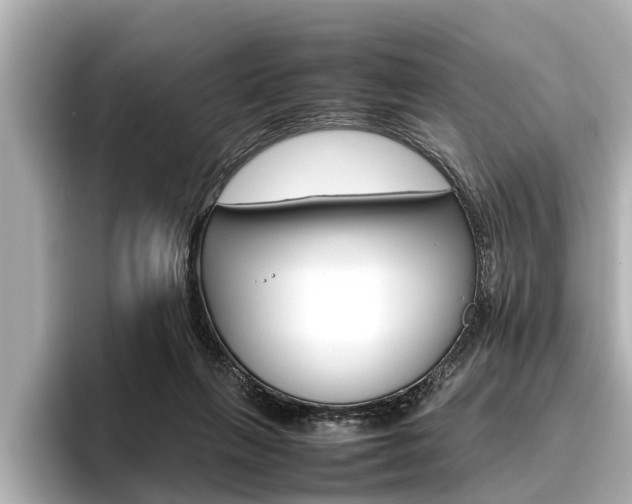 X0000096460263200801241124