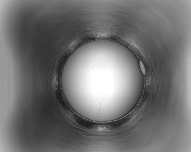X0000096460264200801241124