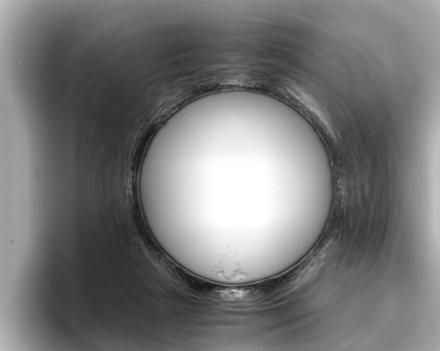 X0000096460265200801241124