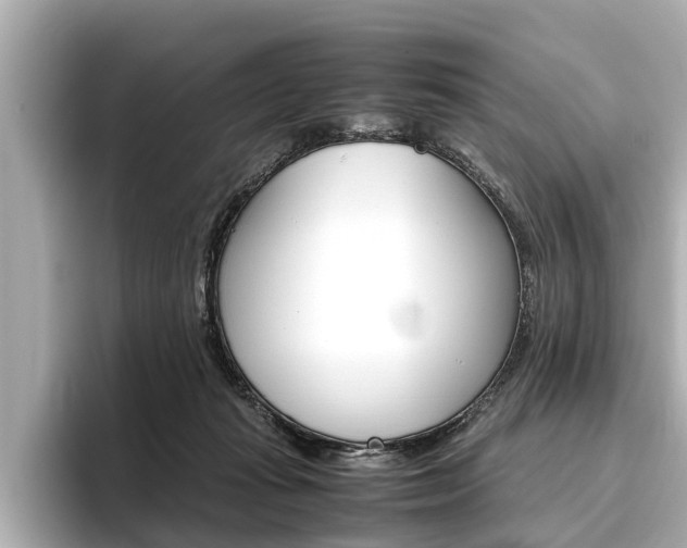 X0000096460269200801241124