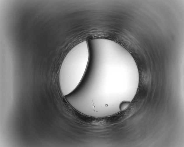 X0000096460271200801241124