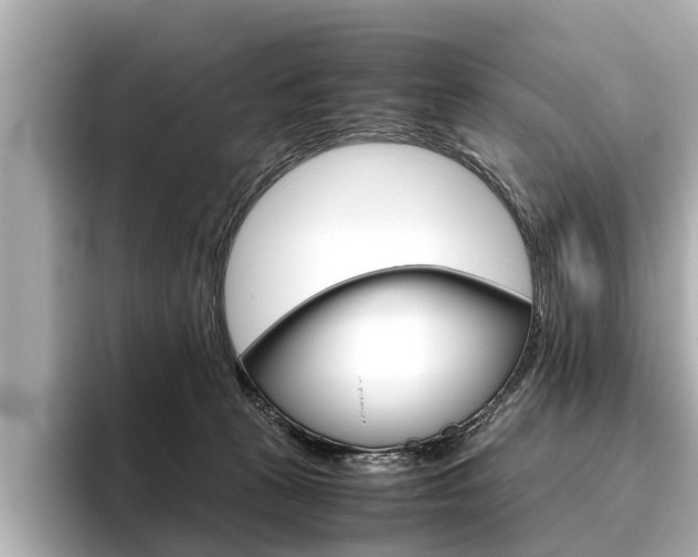 X0000096460273200801241124