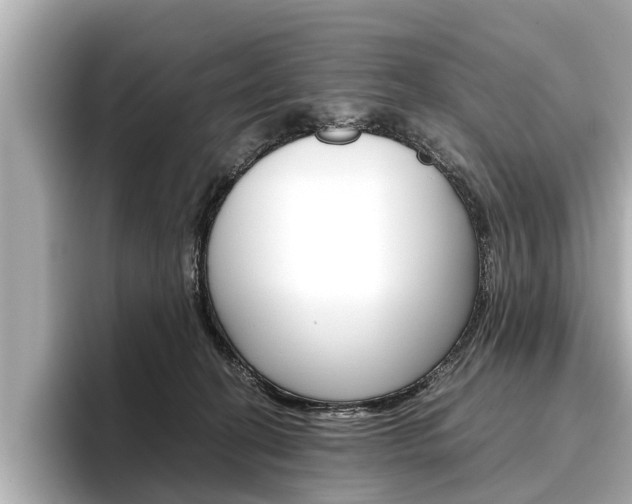 X0000096460274200801241124