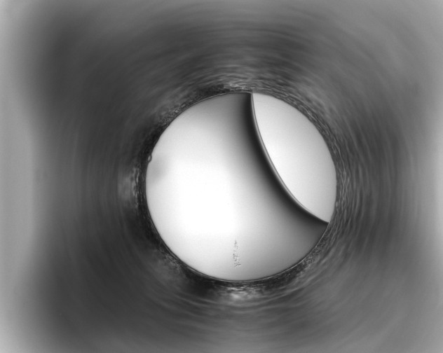 X0000096460275200801241124