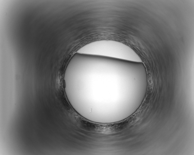 X0000096460276200801241124