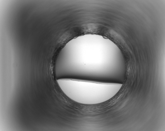 X0000096460282200801241124