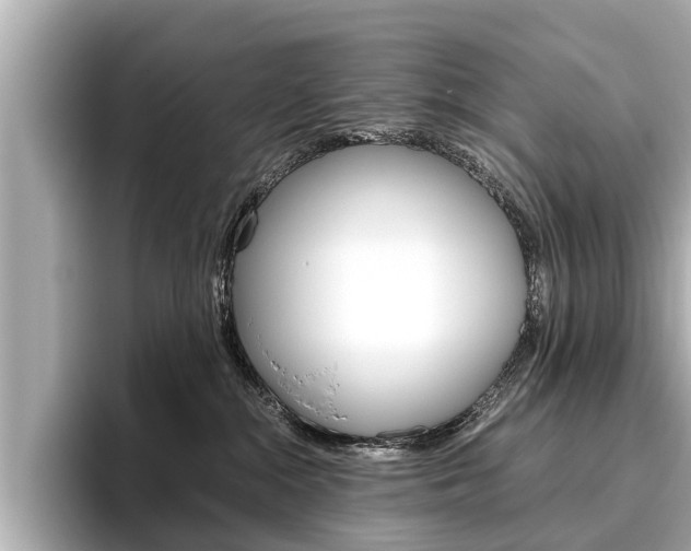X0000096460284200801241124