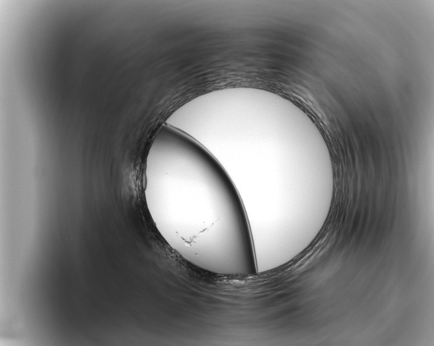 X0000096460285200801241124