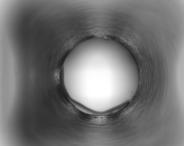 X0000096460288200801241124