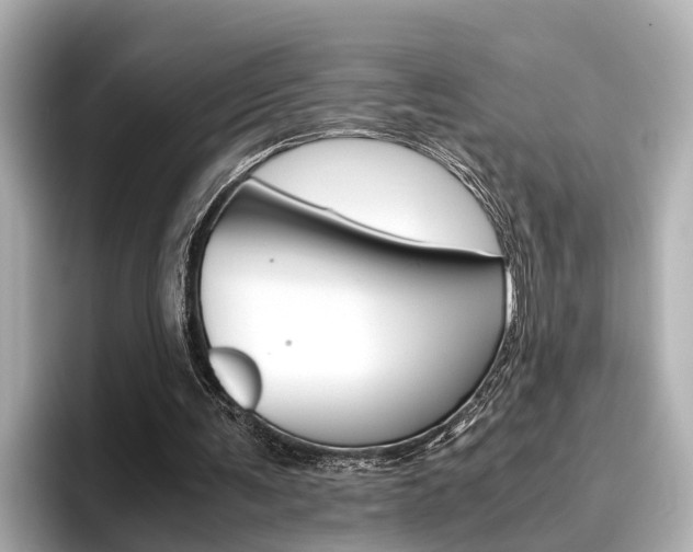 X0000096460291200801241123