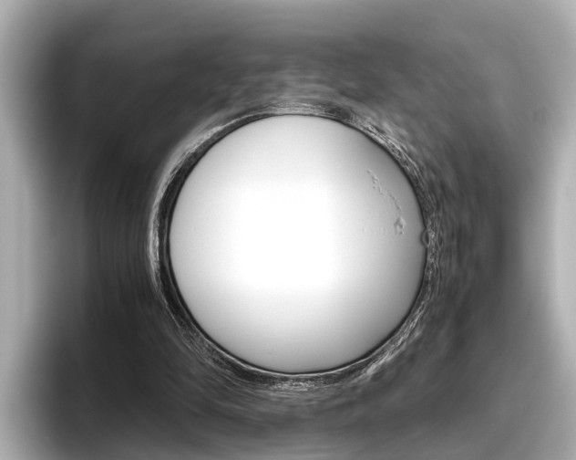 X0000096460294200801241123