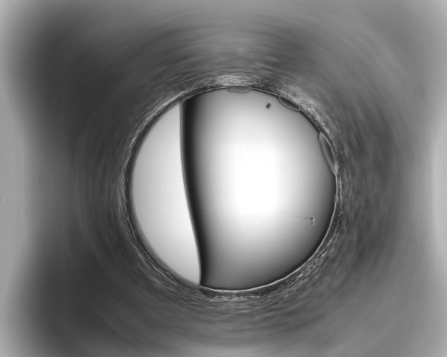 X0000096460297200801241123