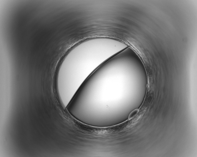 X0000096460301200801241123