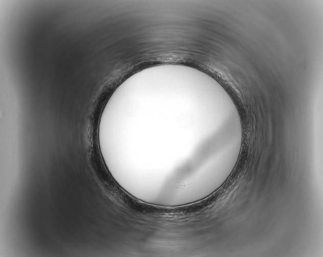 X0000096460303200801241123