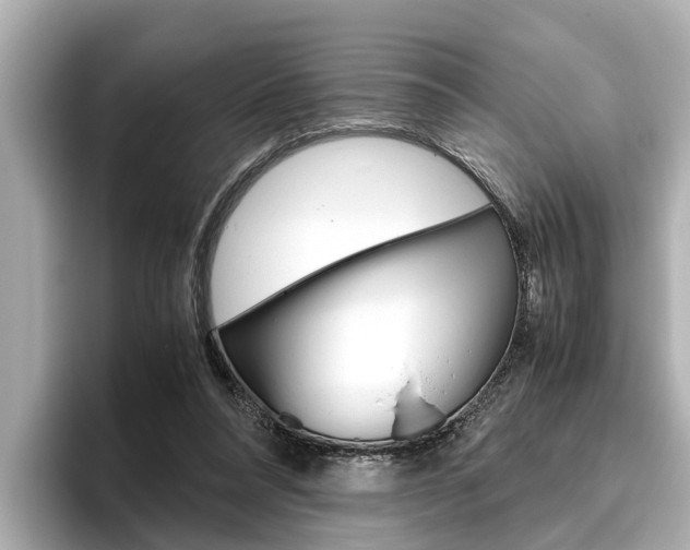 X0000096460304200801241123