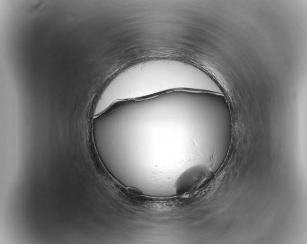 X0000096460305200801241123