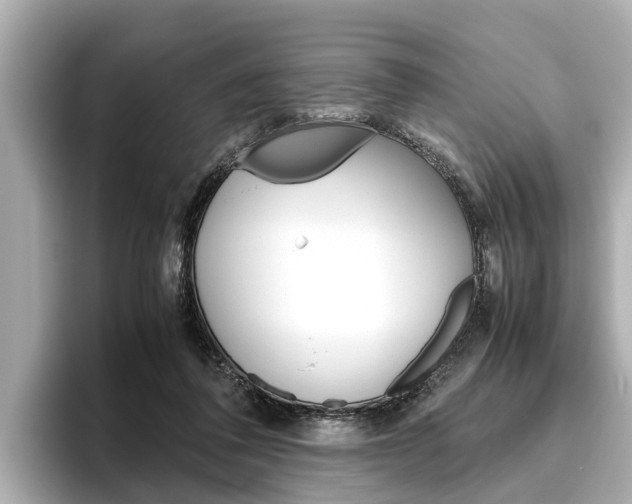 X0000096460308200801241123