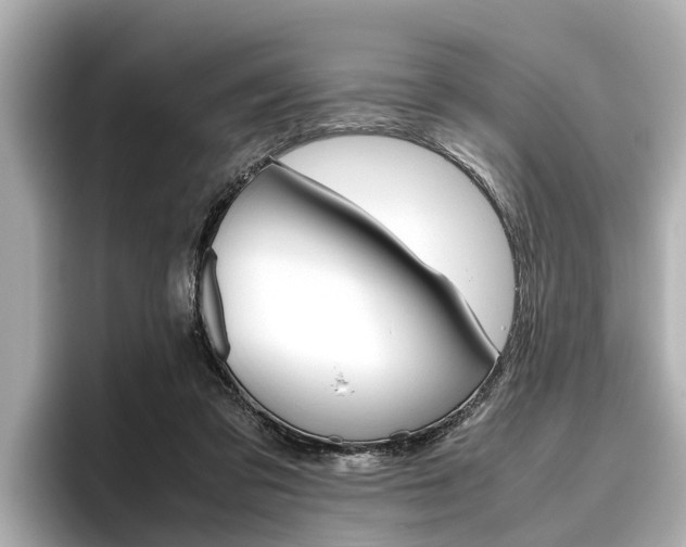X0000096460309200801241123