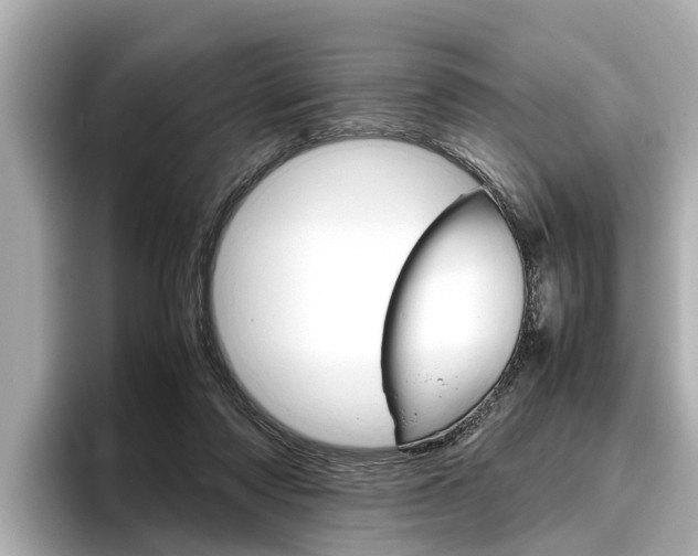 X0000096460310200801241123