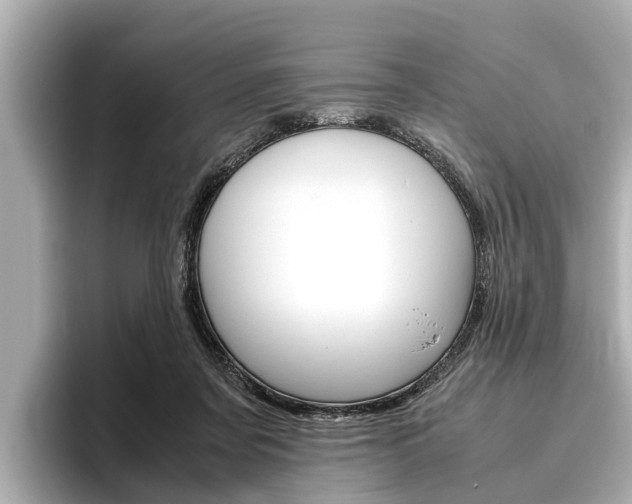 X0000096460311200801241123