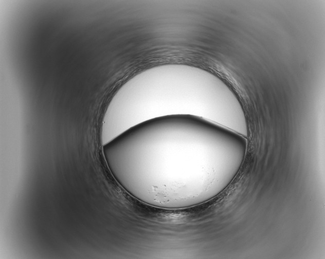 X0000096460313200801241123