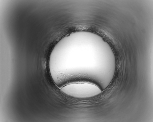X0000096460315200801241123