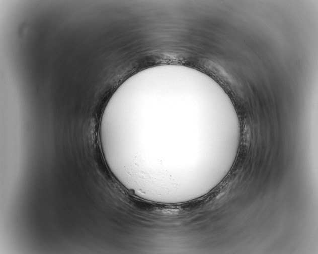 X0000096460318200801241123