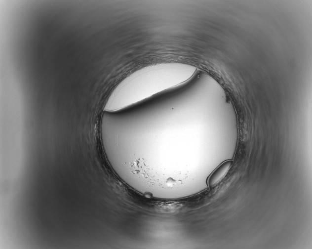 X0000096460321200801241123