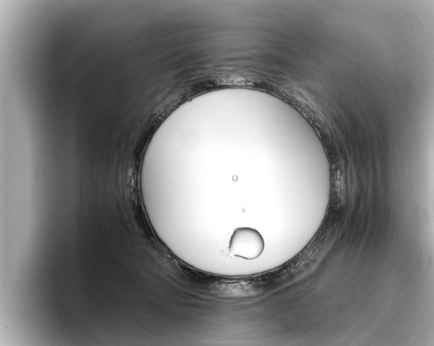 X0000096460322200801241123