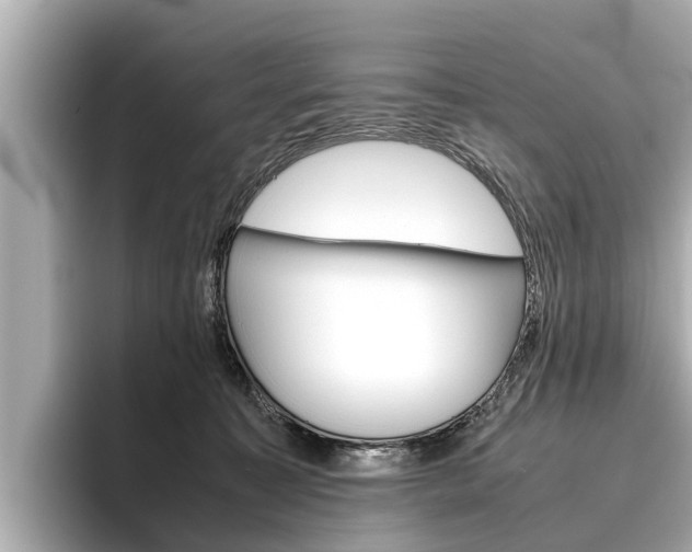 X0000096460323200801241123