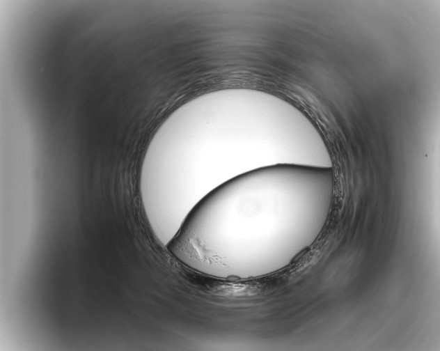 X0000096460326200801241123