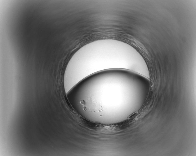 X0000096460329200801241123