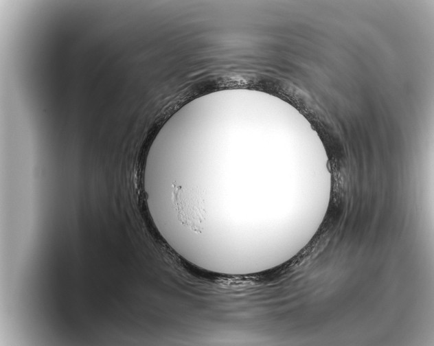 X0000096460331200801241123