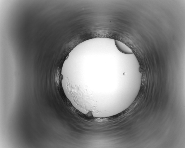 X0000096460334200801241123