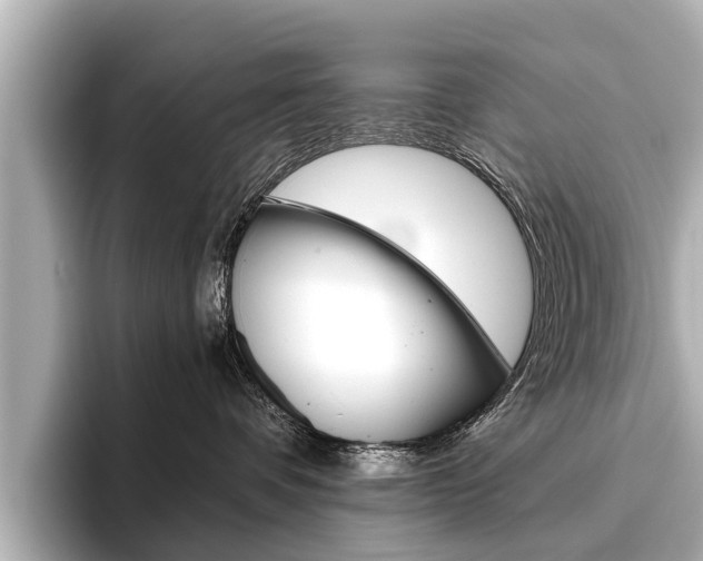 X0000096460336200801241123