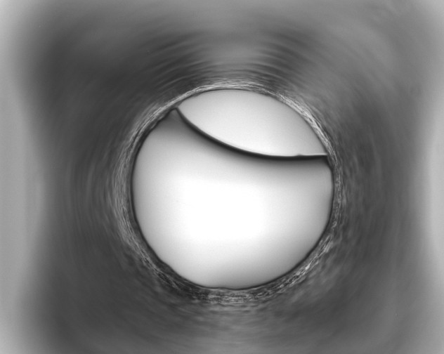 X0000096460337200801241122